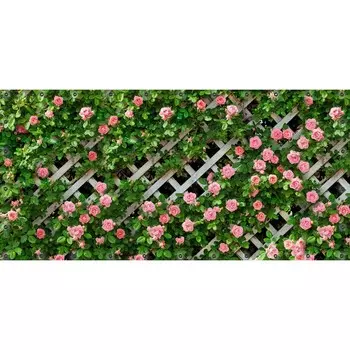 Фотосетка, 314 155 см, с фотопечатью, люверсы шаг 0.3 м, «Решётка с розами»