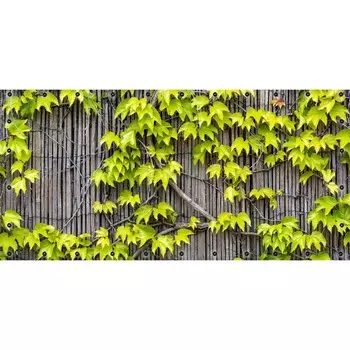 Фотосетка, 314 155 см, с фотопечатью, люверсы шаг 0.3 м, «Дикий виноград»