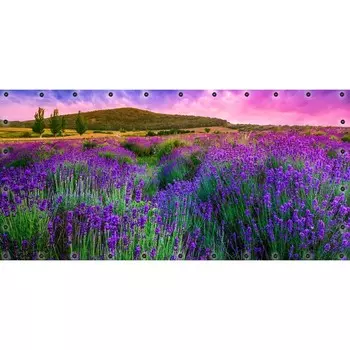 Фотосетка, 314 155 см, с фотопечатью, люверсы шаг 0.3 м, «Лавандовое поле»
