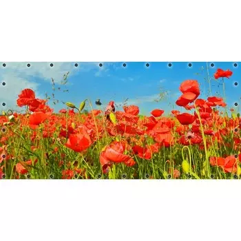 Фотосетка, 314 155 см, с фотопечатью, люверсы шаг 0.3 м, «Маки»