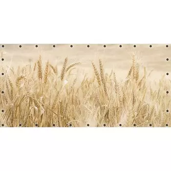 Фотосетка, 314 155 см, с фотопечатью, люверсы шаг 0.3 м, «Колоски»