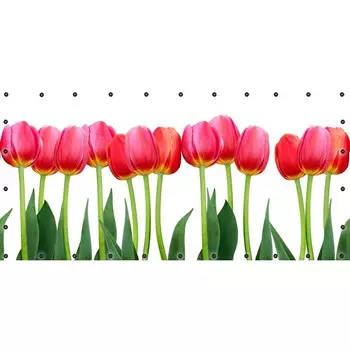 Фотосетка, 314 155 см, с фотопечатью, люверсы шаг 0.3 м, «Тюльпаны-2»