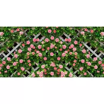 Фотосетка, 314 155 см, с фотопечатью, люверсы шаг 0.3 м, «Розы на шпалере»