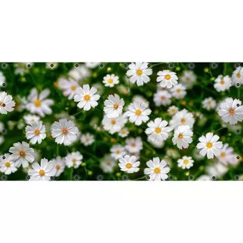 Фотосетка, 314 155 см, с фотопечатью, люверсы шаг 0.3 м, «Белая космея»