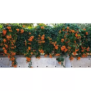 Фотосетка, 314 155 см, с фотопечатью, люверсы шаг 0.3 м, «Пиростегия»