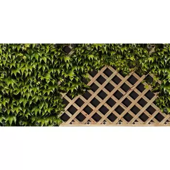 Фотосетка, 314 155 см, с фотопечатью, люверсы шаг 0.3 м, «Решётка, увитая виноградом»