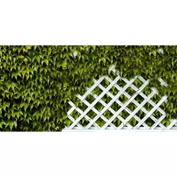 Фотосетка, 320 155 см, с фотопечатью, «Белая решётка с виноградом»