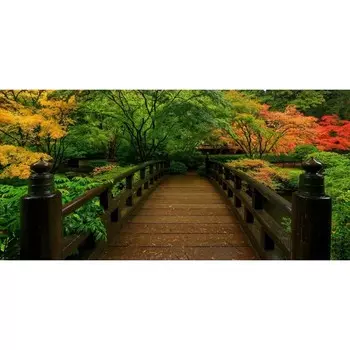 Фотосетка, 320 155 см, с фотопечатью, «Мостик»