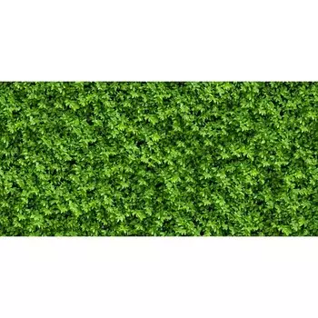 Фотосетка, 320 155 см, с фотопечатью, «Зелёная стена»