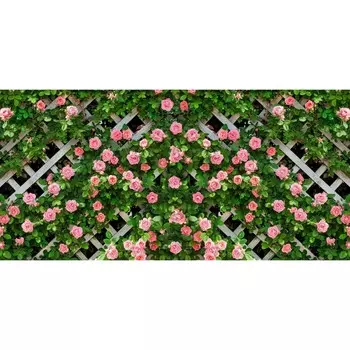 Фотосетка, 320 155 см, с фотопечатью, «Розы на шпалере»