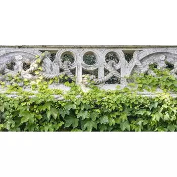 Фотосетка, 320 155 см, с фотопечатью, «Плющ на каменной террасе»