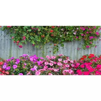 Фотосетка, 320 155 см, с фотопечатью, «Петунии»