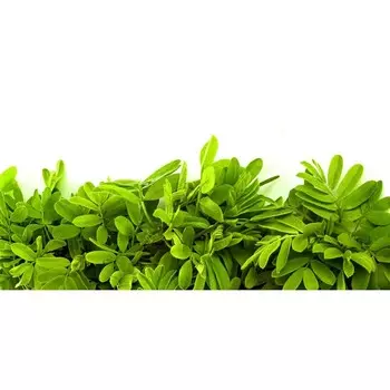 Фотосетка, 320 155 см, с фотопечатью, «Акация»