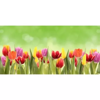 Фотосетка, 320 155 см, с фотопечатью, «Утро в тюльпанах»