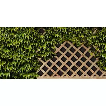 Фотосетка, 320 155 см, с фотопечатью, «Решётка увитая виноградом»