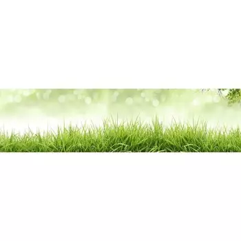 Фотосетка, 600 155 см, с фотопечатью, «Трава на рассвете»