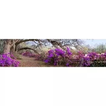 Фотосетка, 600 155 см, с фотопечатью, «Заросшая тропа»