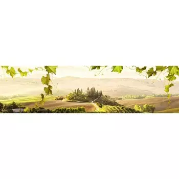 Фотосетка, 600 155 см, с фотопечатью, «Виноградные посевы»