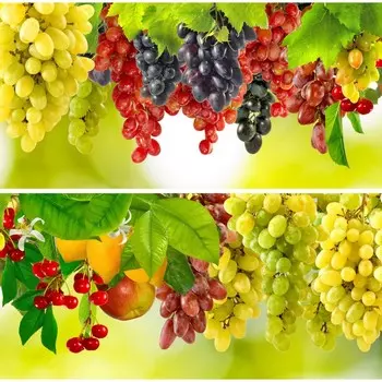 Фотосетка, из двух полотен по 320 155 см, с фотопечатью, «Виноград»