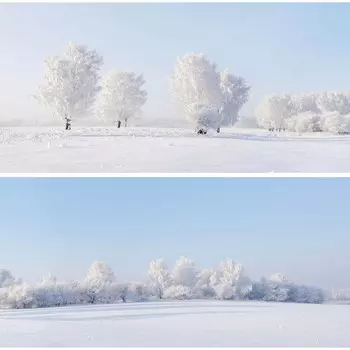 Фотосетка, из двух полотен по 320 155 см, с фотопечатью, «Зимние просторы»