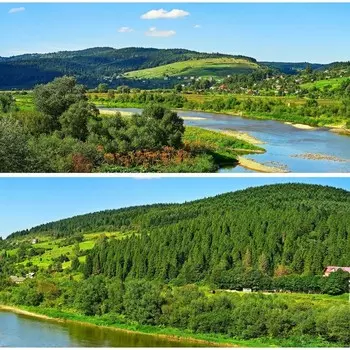 Фотосетка, из двух полотен по 320 155 см, с фотопечатью, «Зелёные просторы над рекой»