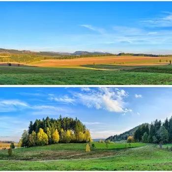 Фотосетка, из двух полотен по 320 155 см, с фотопечатью, «Зелёные просторы»