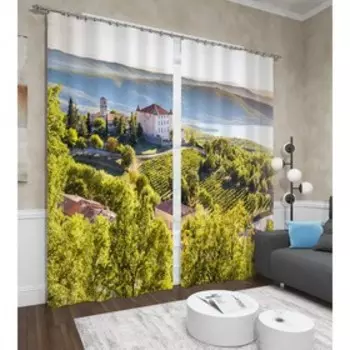 Фотошторы «Деревня Эгюин», размер 145x260 см, 2 шт, блэкаут