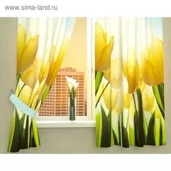 Фотошторы кухонные «Тюльпаны», размер 145 х 160 см - 2 шт., габардин