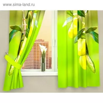 Фотошторы кухонные «Ветвь с оливками», размер 145 х 160 см - 2 шт., габардин