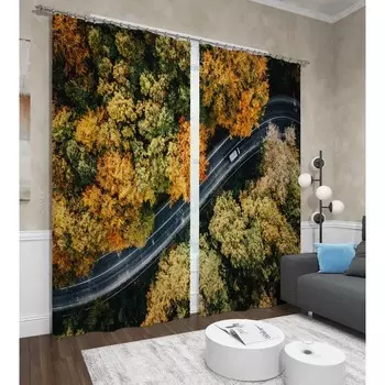 Фотошторы «Осенний путь», размер 145x260 см, 2 шт, блэкаут