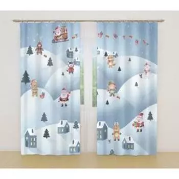 Фотошторы, размер 145x260 см, 2 шт