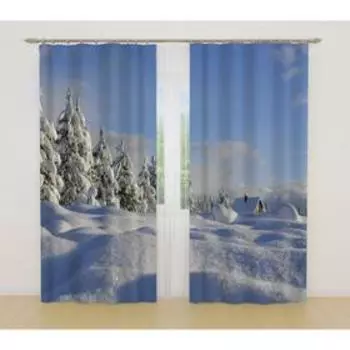 Фотошторы, размер 145x260 см, 2 шт