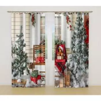 Фотошторы, размер 145x260 см, 2 шт