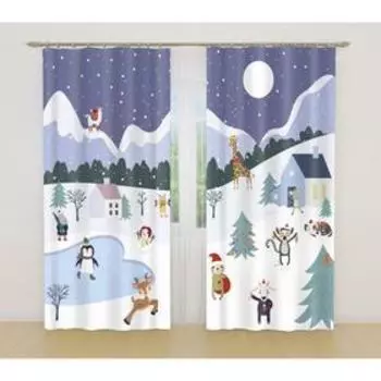 Фотошторы, размер 145x260 см, 2 шт