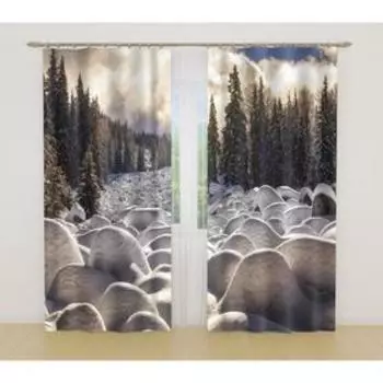 Фотошторы, размер 145x260 см, 2 шт