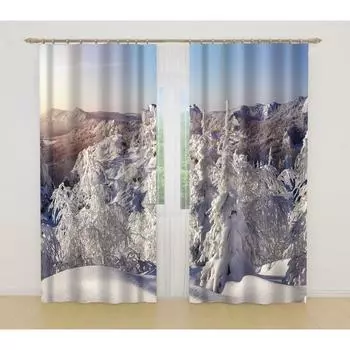 Фотошторы, размер 145x260 см, 2 шт