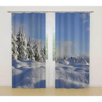 Фотошторы, размер 145x260 см, 2 шт