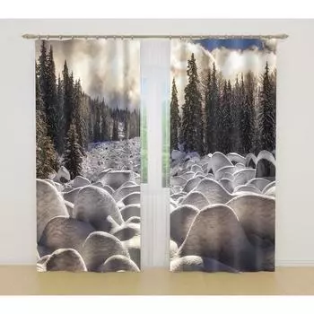 Фотошторы, размер 145x260 см, 2 шт