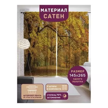 Фотошторы «Желтеющий лес», сатен, размер 145х265 см, 2 шт