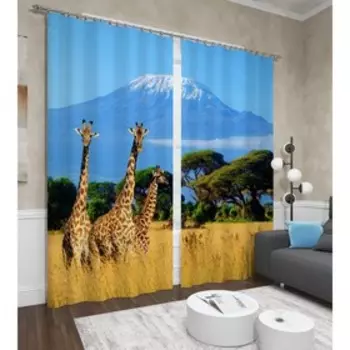 Фотошторы «Трио», размер 145x260 см, 2 шт, блэкаут