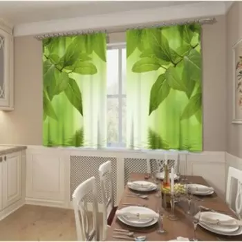 Фотошторы «Живой родник», размер 145x160 см, 2 шт