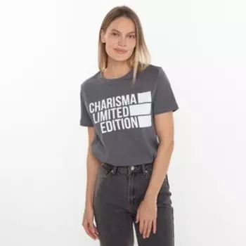 Футболка, цвет тёмно-серый, размер 46 (M)