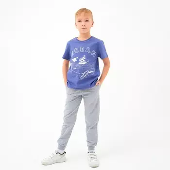 Футболка для мальчика, цвет голубой, рост 104 см