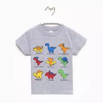 Футболка для мальчика, цвет серый меланж, рост 86