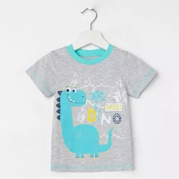 Футболка для мальчика, цвет серый, рост 104 см (56)