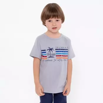 Футболка для мальчика, цвет серый, рост 116 см