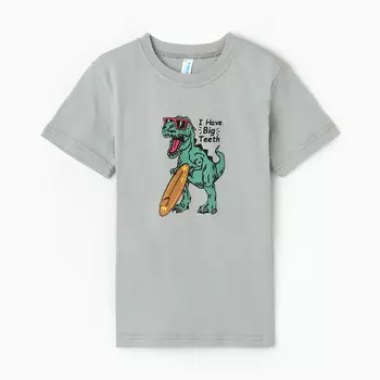 Футболка для мальчика, цвет светло-серый/динозавр, рост 122