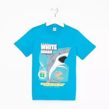 Футболка для мальчика, цвет темно-бирюзовый, рост 116