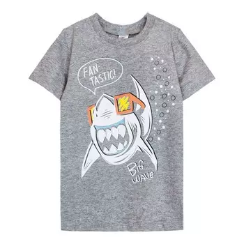 Футболка для мальчика, рост 116 см, цвет серый меланж