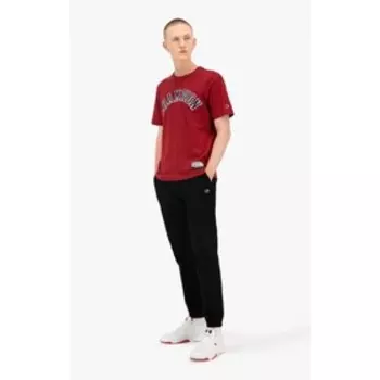 Футболка мужская Champion Rochester Bookstore Crewneck T-Shirt, размер 44-46 (216575-RS506) 7685